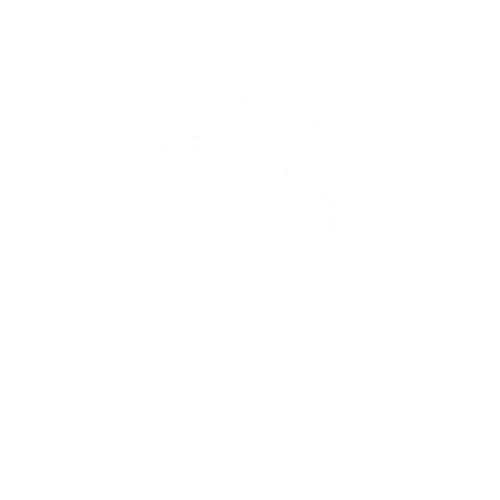Aguru Yoga Shala Cancun