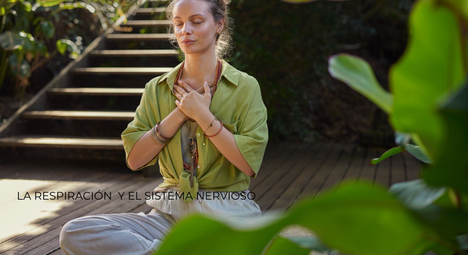 Respiración y sistema nervioso la mente y la estabilidad interna Aguru Yoga Shala Cancún