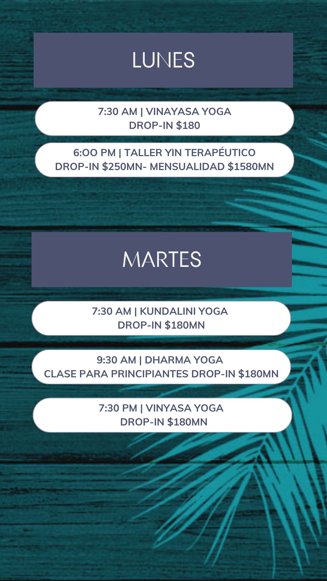AGURU YOGA SHALA - Horarios de clases y sesiones regulares