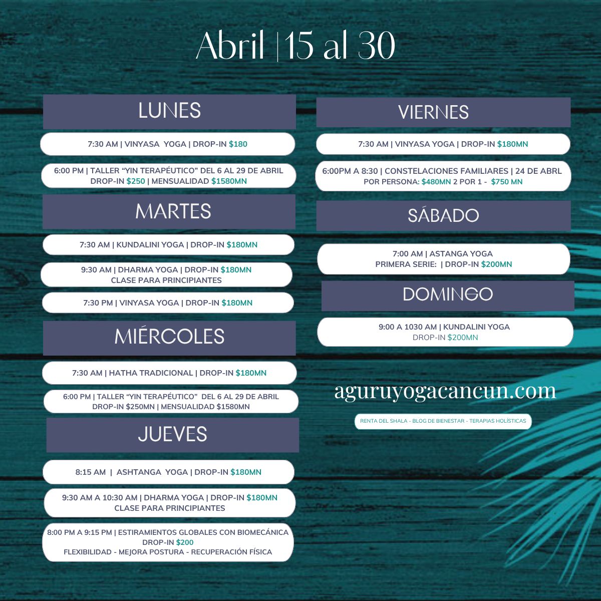Aguru Yoga Shala Cancun México - TALLERES HOLISTICOS y clases de yoga (1)