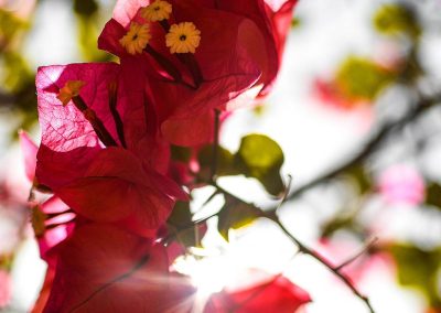 PSICOTERAPIA TRANSPERSONAL en Cancún Transformación Personal Consciente